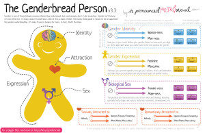 Genderbread-Person-3.3