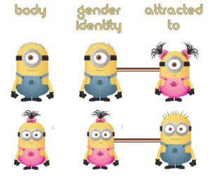 Typical cisgender minions. The gender identity conforms to body, and attracted to opposite gender. The link between the cute minion images shows where the dopamine cable is correctly placed (this will be more clear further below)