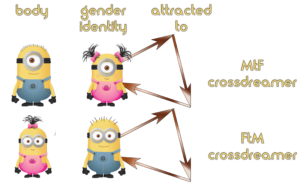 In the case of crossdreamers, the'dopamine cable' is attached to the gender identity, i.e. the crossdreamer feels attracted to their own self-image as the other gender