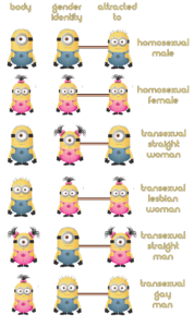 A much more complicated case is when something goes wrong and body/brain/sexual preference are not aligned as they are supposed to be. I'm not using exactly the same terms as Felix, and he'forgot' cisgender homosexuals in his book.
